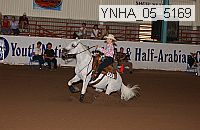 ynha_05_5169 thumbnail