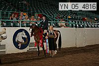yn_05_4816 thumbnail