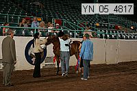 yn_05_4817 thumbnail