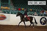 yn_05_4821 thumbnail