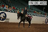 yn_05_4823 thumbnail