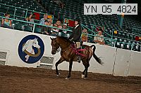 yn_05_4824 thumbnail