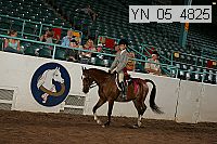 yn_05_4825 thumbnail