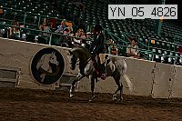 yn_05_4826 thumbnail