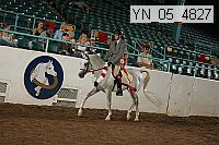 yn_05_4827 thumbnail