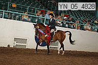 yn_05_4828 thumbnail