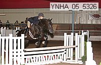 ynha_05_5326 thumbnail