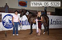 ynha_05_5329 thumbnail