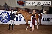 ynha_05_5332 thumbnail