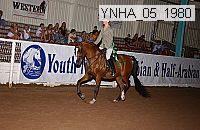 ynha_05_1980 thumbnail
