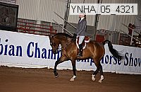 ynha_05_4321 thumbnail