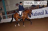 ynha_05_4331 thumbnail
