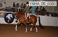 ynha_05_0350 thumbnail