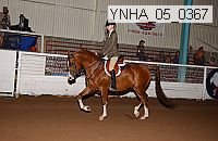ynha_05_0367 thumbnail