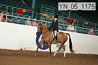 yn_05_1175 thumbnail