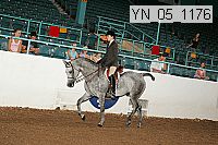 yn_05_1176 thumbnail