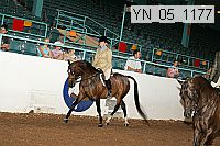 yn_05_1177 thumbnail