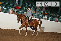 yn_05_1181 thumbnail