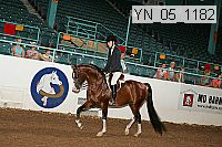 yn_05_1182 thumbnail