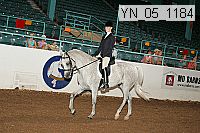 yn_05_1184 thumbnail