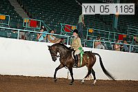 yn_05_1185 thumbnail