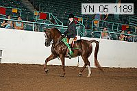 yn_05_1189 thumbnail