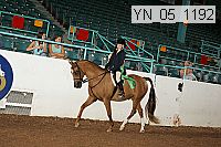 yn_05_1192 thumbnail