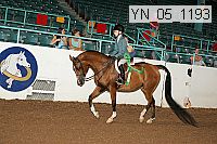 yn_05_1193 thumbnail