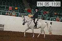 yn_05_1198 thumbnail