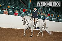 yn_05_1199 thumbnail