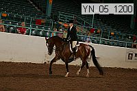 yn_05_1200 thumbnail