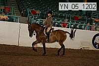 yn_05_1202 thumbnail