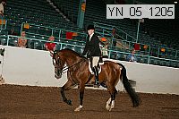 yn_05_1205 thumbnail