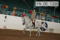 yn_05_1208 thumbnail
