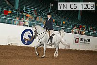 yn_05_1209 thumbnail