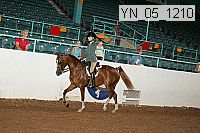 yn_05_1210 thumbnail