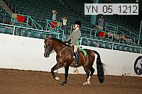 yn_05_1212 thumbnail