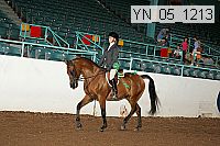 yn_05_1213 thumbnail