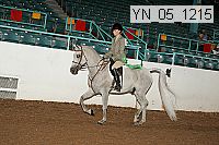 yn_05_1215 thumbnail