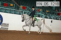 yn_05_1218 thumbnail