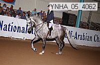 ynha_05_4062 thumbnail