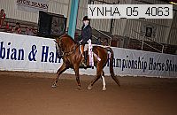 ynha_05_4063 thumbnail