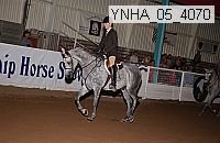 ynha_05_4070 thumbnail