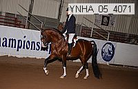 ynha_05_4071 thumbnail