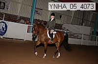 ynha_05_4073 thumbnail