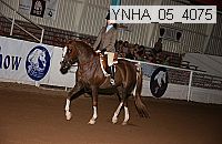 ynha_05_4075 thumbnail