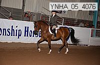 ynha_05_4076 thumbnail