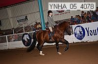 ynha_05_4078 thumbnail