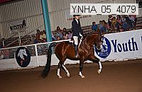 ynha_05_4079 thumbnail