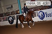 ynha_05_4081 thumbnail